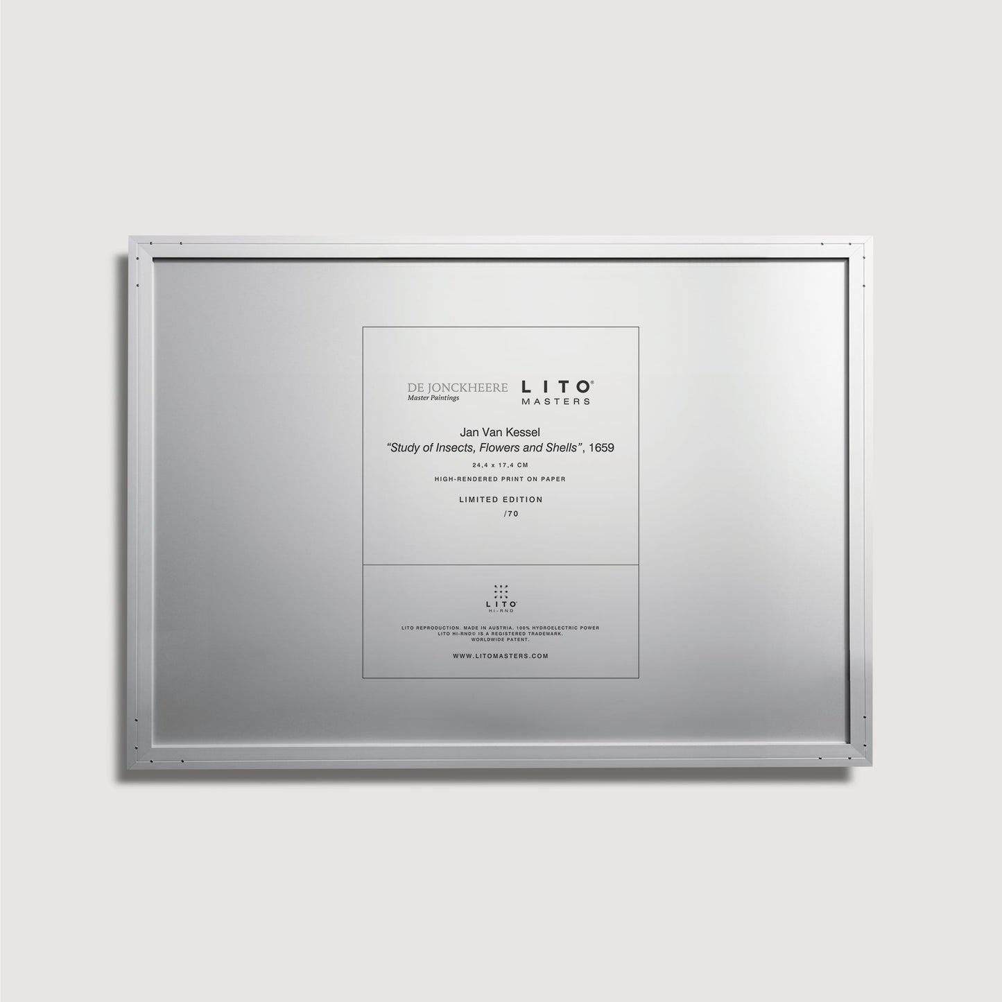 Jan van Kessel – Studium von Insekten, Blumen und Muscheln