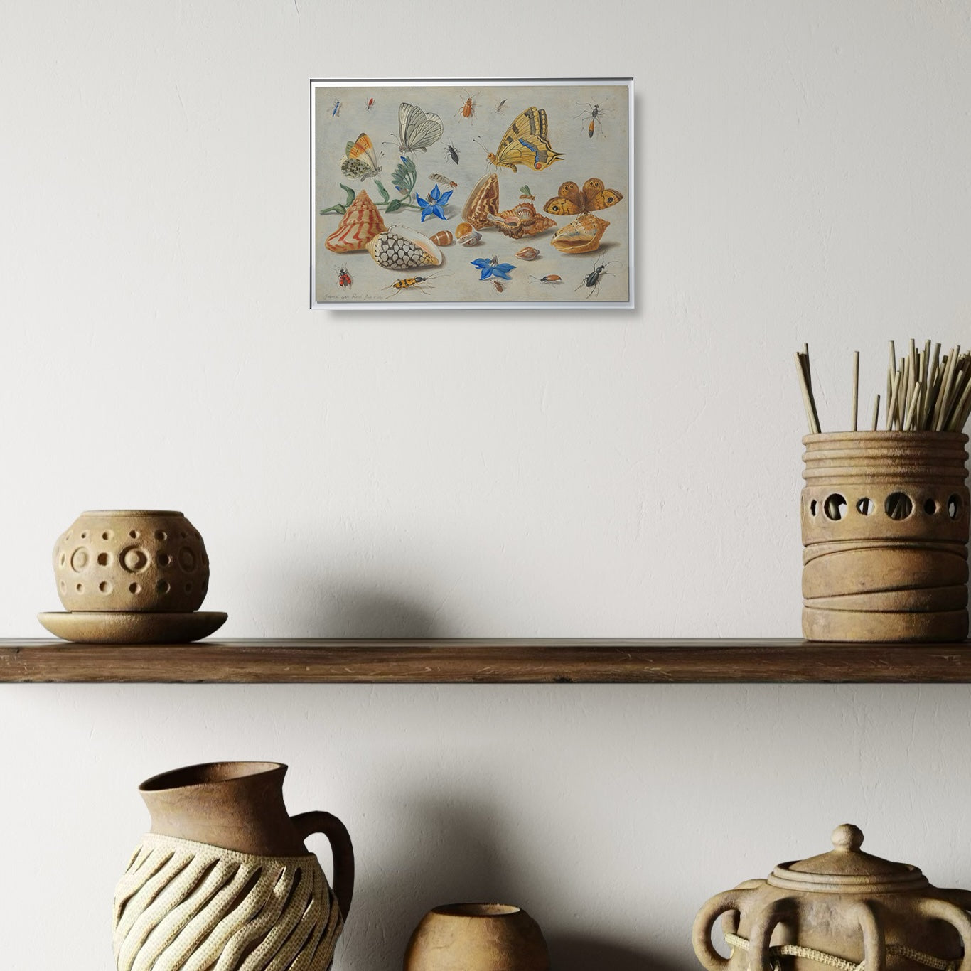 Jan van Kessel - Étude des insectes, des fleurs et des coquillages