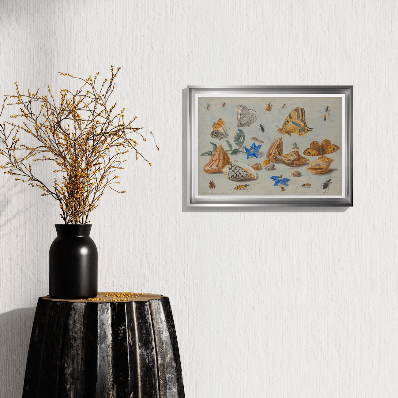 Jan van Kessel – Studium von Insekten, Blumen und Muscheln